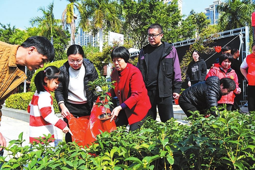 2025年南安全民义务植绿行动启动